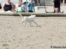DSC_0264-126